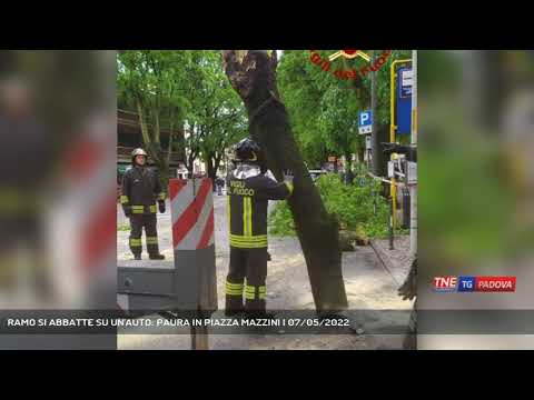 RAMO SI ABBATTE SU UN'AUTO: PAURA IN PIAZZA MAZZINI | 07/05/2022