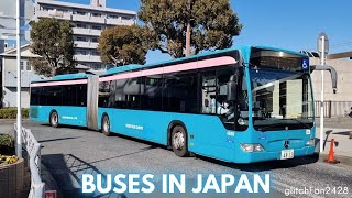 No Buses「No Buses」新品未使用 No Buses / No Buses | HOLIDAY! RECORDS DISTRO