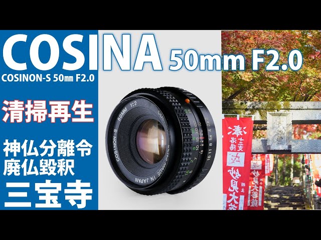 Photographing Autumn Leaves at Kyoto's Sanpo-ji Temple with a Junk
