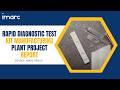 Detailed Project Report on Setting up Rapid Diagnostic Test Kit Manufacturing Plant