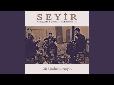 Ok Mudur Kirpiğin (Seyir)