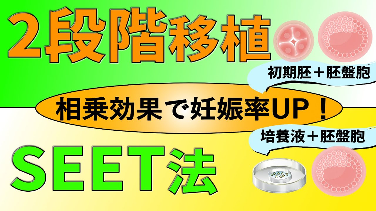 15.4.【上がれ着床率！】2段階移植とSEET法・ST法について