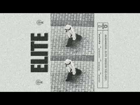   داوود ايليت