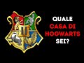 Perché Esiste la Traduzione di Harry Potter per la Generazione Z