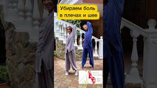 Мягко укрепляем спину #зож #массаж #упражнения #топ #спорт