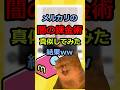 【猫ミーム】メルカリで闇の錬金術してみた結果ww #2ch #ゆっくり実況 #猫ミーム