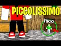 ENTRO NEL PASSAGGIO SEGRETO PIÙ *PICCOLO* DI MINECRAFT!