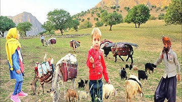 ۲"Spring migration of nomads with livestock | Alikar family