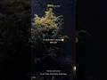 Khairiyat Pucho Khairiyat Lyrics Arijit Singh Songs 