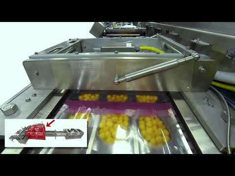 8000S form Fill Seal Machine - Food Thermoform Packaging thumbnail