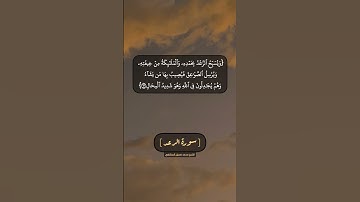 سورة الرعد الآية ١٢ و ١٣ بصوت الشيخ محمد صديق المنشاوي