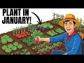 14 Crops To Plant In January That Will Feed Your Family All Year