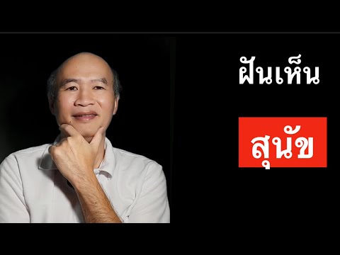 ฝันเห็นสุนัข ฝันเห็นหมา เปิดไพ่ยิปซีทำนายฝัน พร้อมเลขนำโชค Pick A Card Ep 216