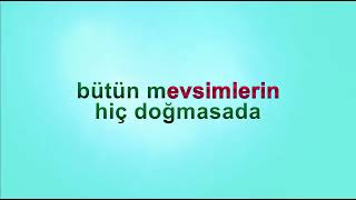 DİLBER AY   FELEK GİBİSİN