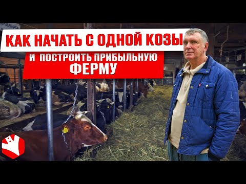 Как развивать молочную ферму | Бизнес своими руками | Обзор хозяйства | Переработка молока