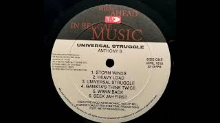 Anthony B - Universal Struggle - VP/Star Trail LP - 1997