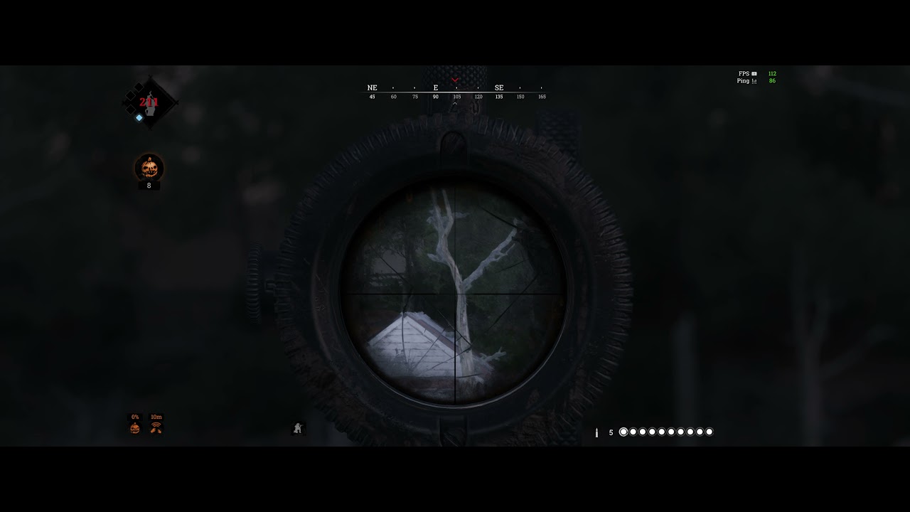 Hunt Showdown Nice headshot in Quick Play - YouTube