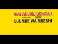 MANZESE LIMBU LUCHAGULA UJUMBE WA MBESHI INAGA
