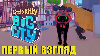 :   | Little Kitty Big City