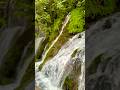 Antioch IV: the springs of Daphne were already famous sights in antiquity