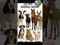 10 pet animal and name and sound in English and Hindi | पालतू जानवरों के नाम और आवाज | #petanimals