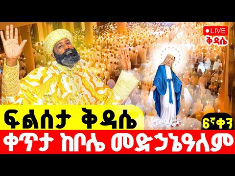 LIVE ቀጥታ ከቦሌ መድኃኔዓለም ፍልሰታ ቅዳሴ 6ኛ ቀን ዛሬ እኮ ቅድስት አርሴማ ናት