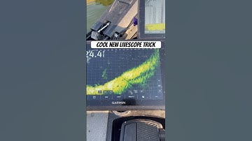 Cool new trick to try with your Garmin Livescope!