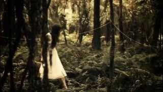 The Paper Kites - Bloom