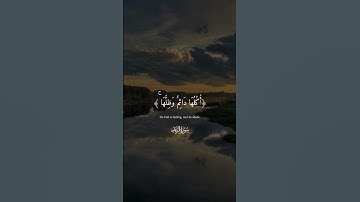 تلاوه هادئه تريح الاعصاب 🌺 #قران_كريم #quran #المصحف #اكسبلور #تلاوه #قرآن