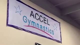 Famous Accel Gymnastics Boys Team is Ready!!!! Wealth