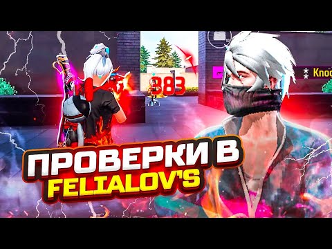 Видео: ЗУРУБА FELIALOV’S VS AMIGOS 🐁