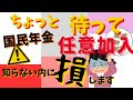 国民年金の【任意加入】で損をする～年金額計算の仕組み～いつまで払えばいい❔