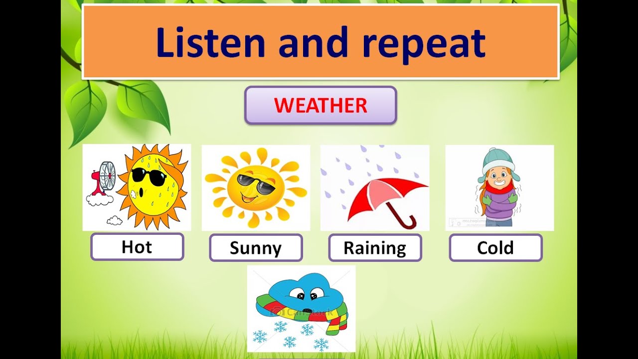 Spotlight 2 weather