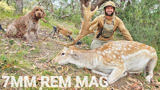FALLOW BUCK In The Fog - 7mm Rem Mag Deer Hunting by Tony Gillahan 13,866 views 2 months ago 18 minutes