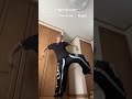 CORTIS"GO!"Dance Challenge Mirrored Tutorial #shorts