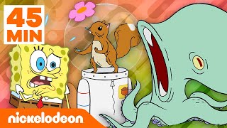 Bob l'éponge | Les animaux les plus cool de Bikini Bottom en 45 minutes ! | Nickelodeon France