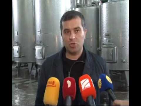 დავით ბაქრაძე თერჯოლაში