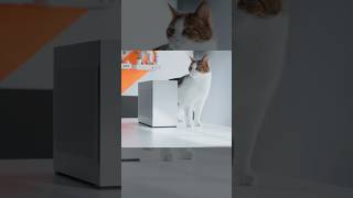 J’ai atteint 1000 FPS sur un mini PC ? 🤯 #minipc #miniitx #sffpc #minipcgaming