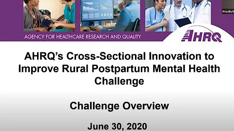 Rural Postpartum Mental Health Care Challenge Webinar 2