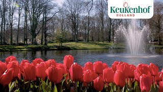 Enjoy this new video of our beautiful park!🌷- Keukenhof Virtually Open