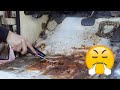 Found rotten RUST on my floors! – 1972 Ford F250 (Part 6)