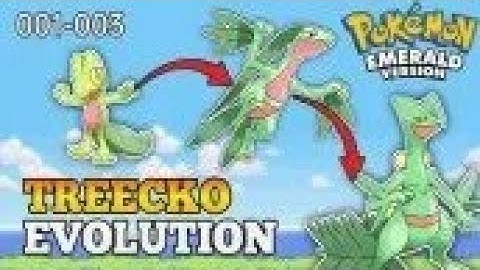 MY GROVYLE EVOLVING INTO 😈 SCEPTILE IN POKEMON EMERALD