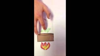 Recycling Stop Animation
