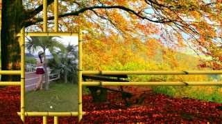 Nếu Không Phải Là Em - Thọ Nh