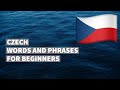 Czech words and phrases for absolute beginners. Learn the Czech language easily. (16 topics).