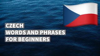 Czech words and phrases for absolute beginners. Learn the Czech language easily. (16 topics).