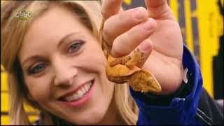 CBBC - Startup (October 13th 2011)