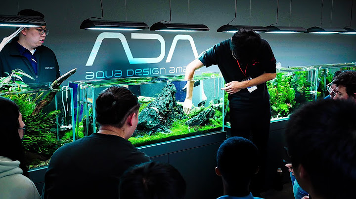 The JAPANESE Way of Aquascaping | How ADA Maintains Their Aquariums?