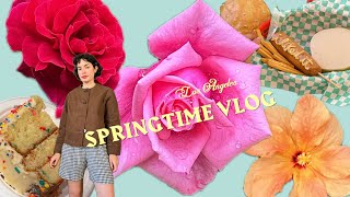 L.A. VLOG • Spring is here, baby hummingbirds, slowing down!