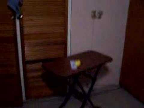 Throwing card in apple - carta atraviesa una manzana
